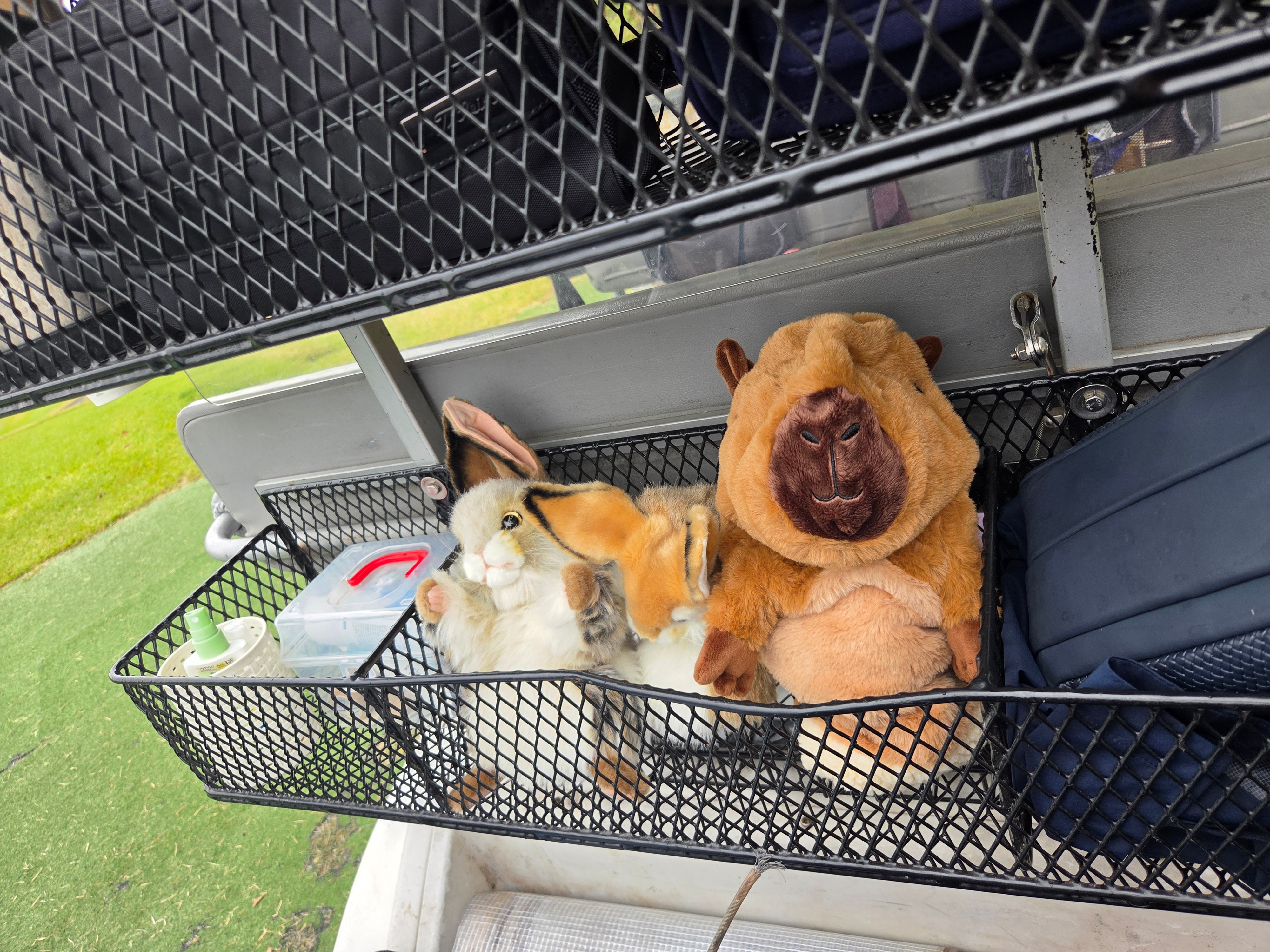 Daphne's CAPYBARA Driver Cover-a